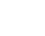 Fast & Reliable Delivery